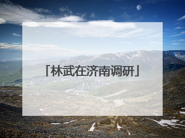 林武在济南调研
