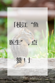 枝江“鱼医生”，点赞！
