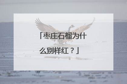 枣庄石榴为什么别样红？