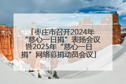 枣庄市召开2024年“慈心一日捐”表扬会议暨2025年“慈心一日捐”网络募捐动员会议