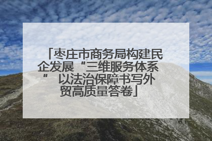枣庄市商务局构建民企发展“三维服务体系” 以法治保障书写外贸高质量答卷