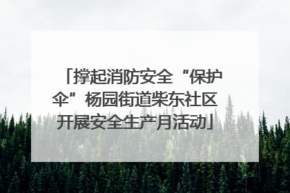 撑起消防安全“保护伞”杨园街道柴东社区开展安全生产月活动