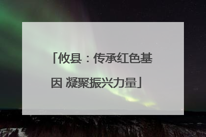 攸县：传承红色基因 凝聚振兴力量