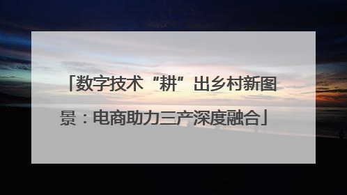 数字技术“耕”出乡村新图景：电商助力三产深度融合