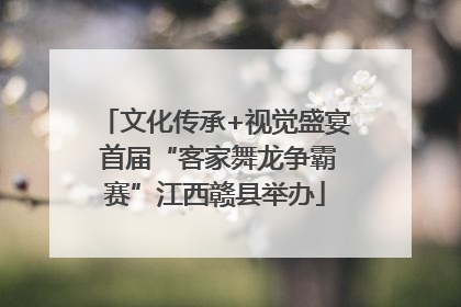 文化传承+视觉盛宴 首届“客家舞龙争霸赛”江西赣县举办