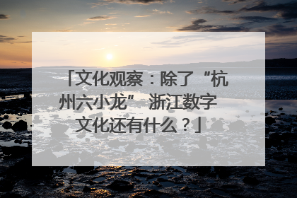 文化观察：除了“杭州六小龙” 浙江数字文化还有什么？
