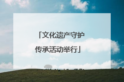 文化遗产守护传承活动举行