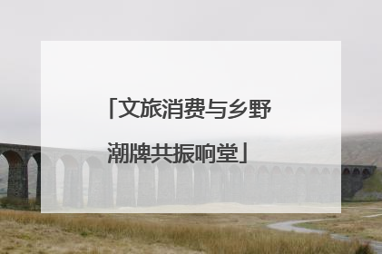 文旅消费与乡野潮牌共振响堂