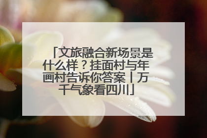 文旅融合新场景是什么样？挂面村与年画村告诉你答案丨万千气象看四川