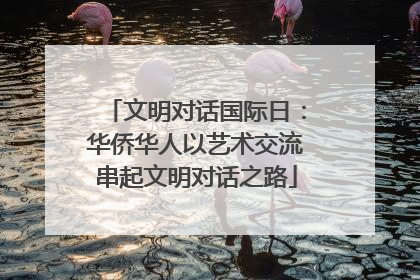 文明对话国际日：华侨华人以艺术交流串起文明对话之路