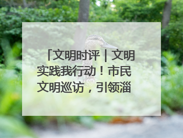 文明时评｜文明实践我行动！市民文明巡访，引领淄博全民志愿