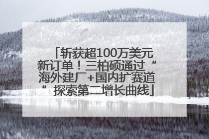 斩获超100万美元新订单！三柏硕通过“海外建厂+国内扩赛道”探索第二增长曲线