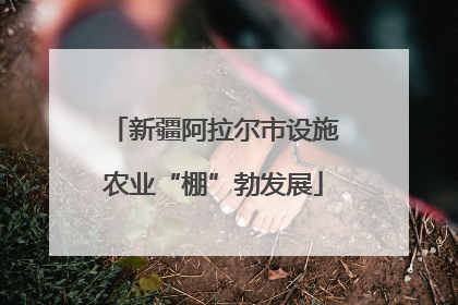 新疆阿拉尔市设施农业“棚”勃发展