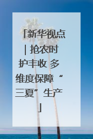 新华视点｜抢农时 护丰收 多维度保障“三夏”生产
