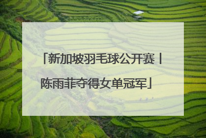 新加坡羽毛球公开赛丨陈雨菲夺得女单冠军