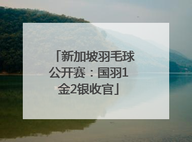 新加坡羽毛球公开赛：国羽1金2银收官