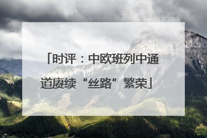 时评：中欧班列中通道赓续“丝路”繁荣