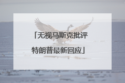 无视马斯克批评 特朗普最新回应