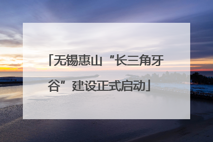 无锡惠山“长三角牙谷”建设正式启动