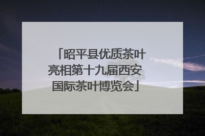 昭平县优质茶叶亮相第十九届西安国际茶叶博览会
