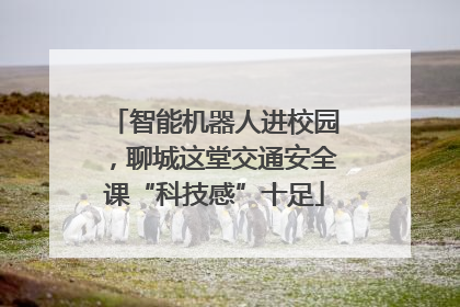 智能机器人进校园，聊城这堂交通安全课“科技感”十足