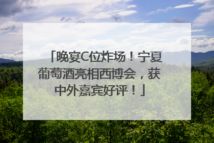 晚宴C位炸场！宁夏葡萄酒亮相西博会，获中外嘉宾好评！