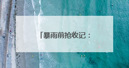 暴雨前抢收记：万斤胭脂红鲜桃传递“双向甜蜜”