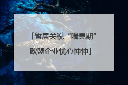 暂居关税“喘息期” 欧盟企业忧心忡忡