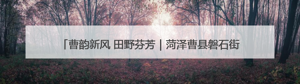 曹韵新风 田野芬芳｜菏泽曹县磐石街道：以歌为媒 唱响乡土“新歌声”