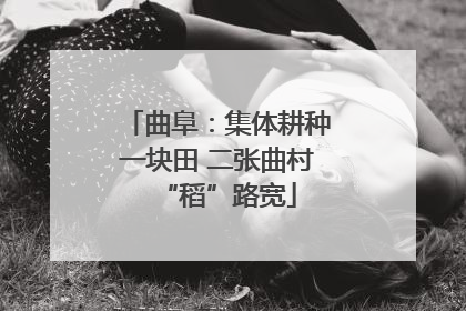 曲阜：集体耕种一块田 二张曲村“稻”路宽