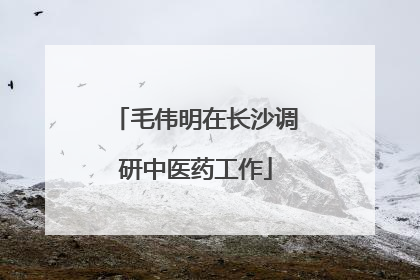 毛伟明在长沙调研中医药工作