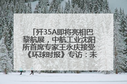 歼35A即将亮相巴黎航展，中航工业沈阳所首席专家王永庆接受《环球时报》专访：未来数量可以有很多