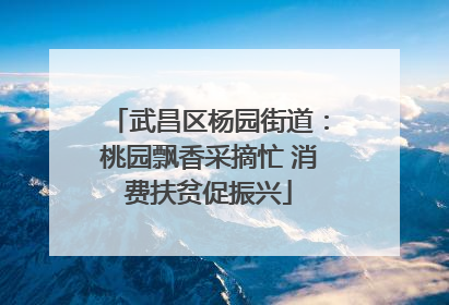 武昌区杨园街道：桃园飘香采摘忙 消费扶贫促振兴