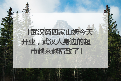 武汉第四家山姆今天开业，武汉人身边的超市越来越精致了