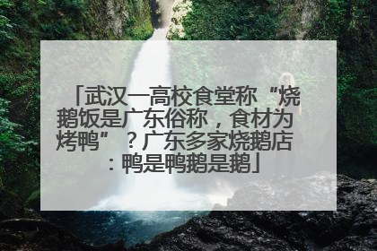 武汉一高校食堂称“烧鹅饭是广东俗称，食材为烤鸭”？广东多家烧鹅店：鸭是鸭鹅是鹅
