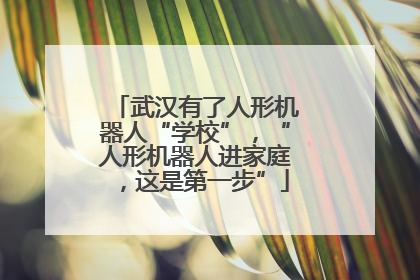武汉有了人形机器人“学校”，“人形机器人进家庭，这是第一步”