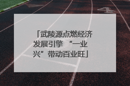 武陵源点燃经济发展引擎 “一业兴”带动百业旺