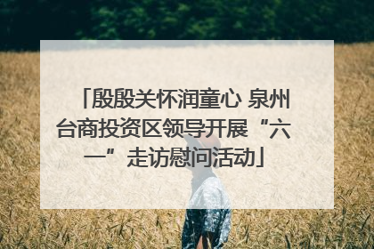 殷殷关怀润童心 泉州台商投资区领导开展“六一”走访慰问活动