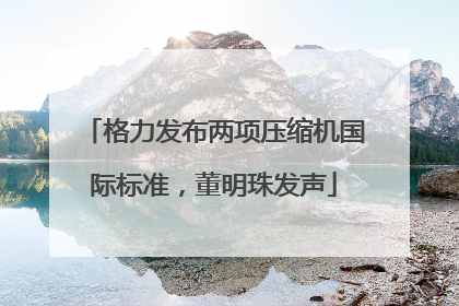 格力发布两项压缩机国际标准，董明珠发声