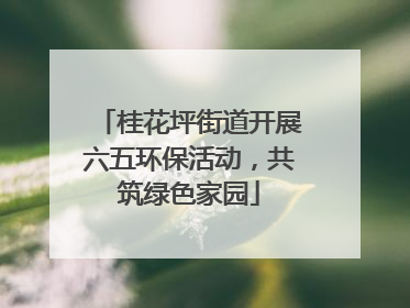 桂花坪街道开展六五环保活动，共筑绿色家园