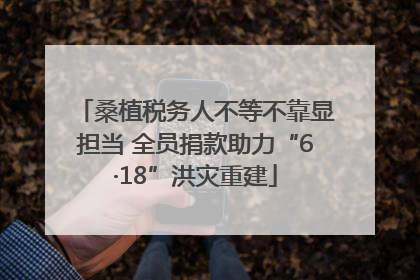 桑植税务人不等不靠显担当 全员捐款助力“6·18”洪灾重建