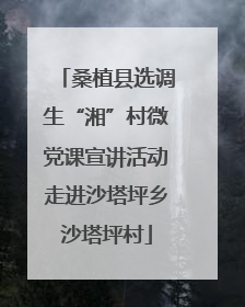 桑植县选调生“湘”村微党课宣讲活动走进沙塔坪乡沙塔坪村