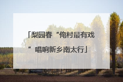 梨园春“俺村最有戏”唱响新乡南太行