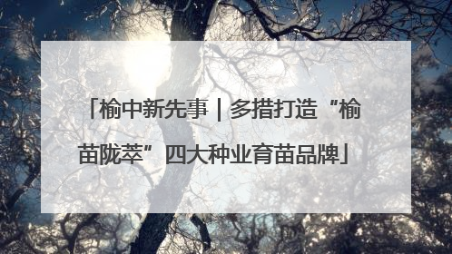 榆中新先事｜多措打造“榆苗陇萃”四大种业育苗品牌