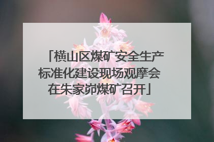 横山区煤矿安全生产标准化建设现场观摩会在朱家峁煤矿召开
