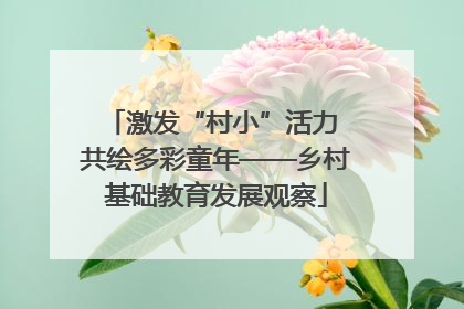 激发“村小”活力 共绘多彩童年——乡村基础教育发展观察