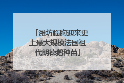 潍坊临朐迎来史上最大规模法国祖代朗德鹅种苗