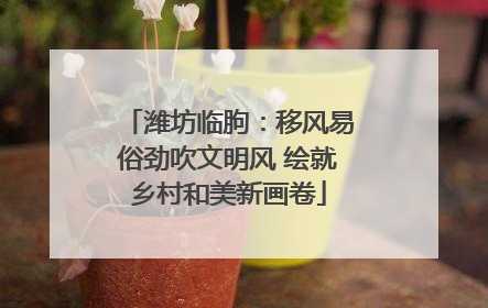 潍坊临朐：移风易俗劲吹文明风 绘就乡村和美新画卷