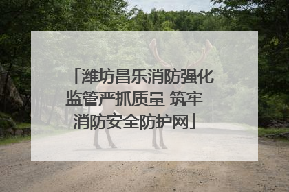 潍坊昌乐消防强化监管严抓质量 筑牢消防安全防护网