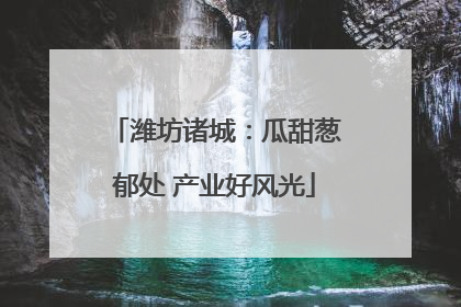潍坊诸城：瓜甜葱郁处 产业好风光